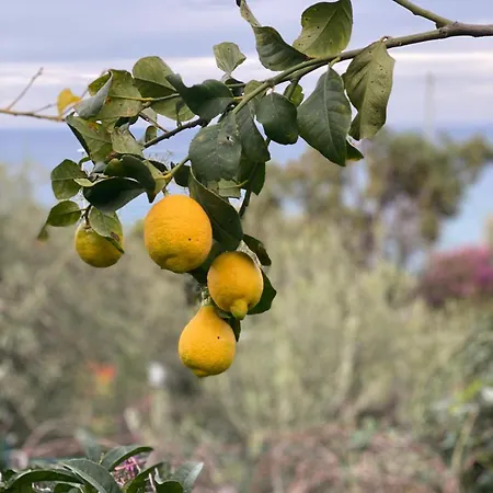 Nyaraló La Casa Dei Ciocio