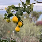 Будинок відпочинку La Casa Dei Ciocio