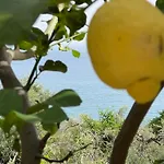 Будинок відпочинку La Casa Dei Ciocio *