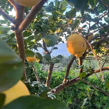 La Casa Dei Ciocio בית נופש צ'פאלו