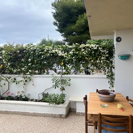La Casa Dei Ciocio Casa vacanze