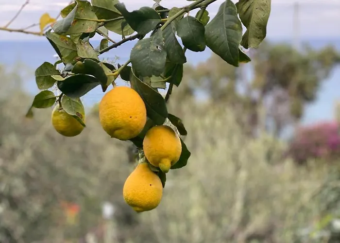 Casa de Férias La Casa Dei Ciociò