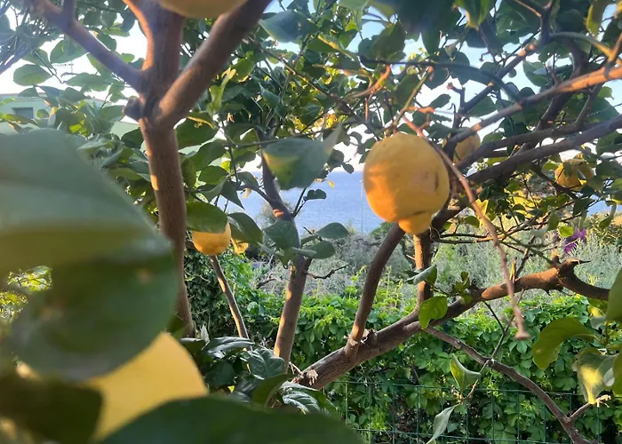 La Casa Dei Ciocio Hébergement de vacances Cefalù